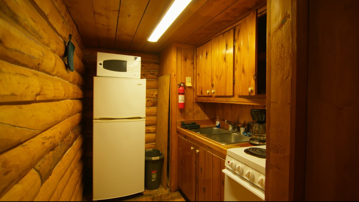 Cabin kitchen with fridge, microwave, stove